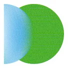 Blue Green Logo