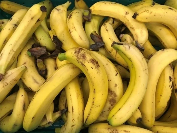 Image of non-standard bananas used for the project