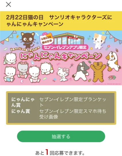 Screen Image: Campaign tab