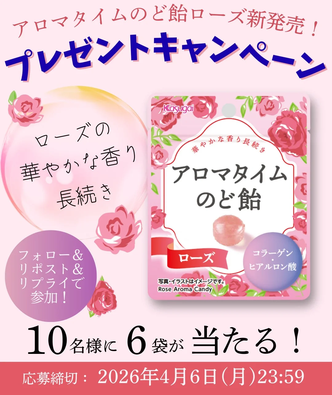 Kasugai Seika Official X Campaign Information
