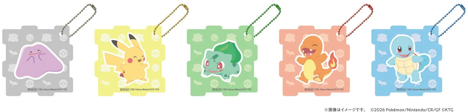 Acrylic Puzzle Keychains Wave 1