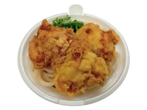 Udon with Dashi Broth and 3 Pieces of Chicken Tempura