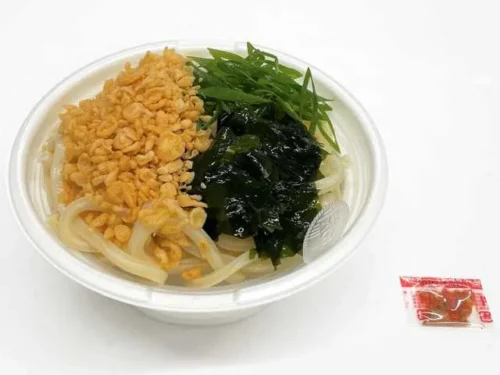 Tanuki Udon with Rich Broth