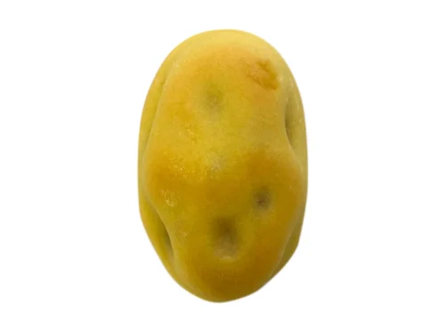 7 PREMIUM Japanese-Style Sweet Potato