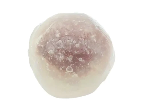 Chilled Mizu Manju with Smooth Red Bean Paste