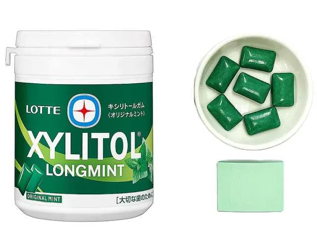 LOTTE 자일리톨 보틀 롱 민트