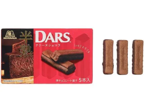 Morinaga Hanjuku DARS Terrine Chocolat
