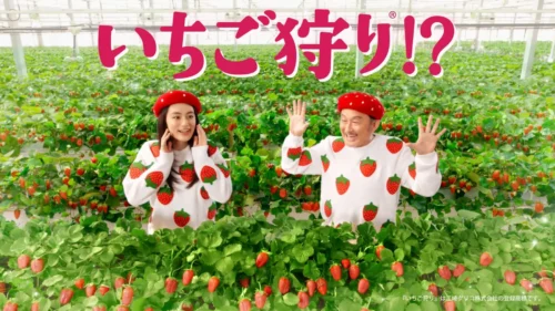 Strawberry Picking at Famima?! Kotaro Yoshida and Rikako Yagi Present a Festival of Strawberry Sweets Dressed in White