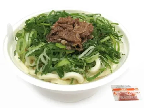 Beef Udon Noodles Covered in Green Onions