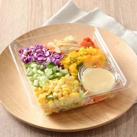 Supplement Salad with 1/2 Day’s Worth of Vegetables (Onion Dressing)