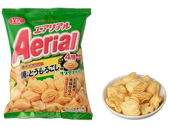 エアリアル 贅沢しおバター味 【公式通販】