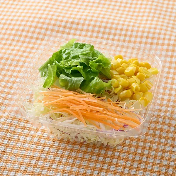 Fresh Vegetable Salad