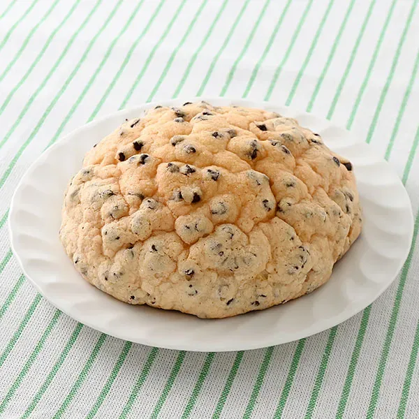 どかっとメロンパン(チョコチップ)