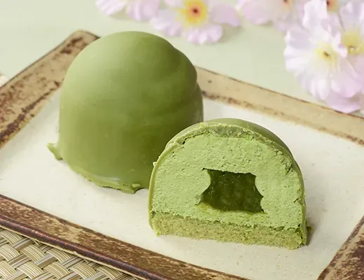 Uchi Café 모리한 쇼콜라 돔 말차