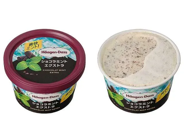 Häagen-Dazs Mini Cup Chocolate Mint Extra