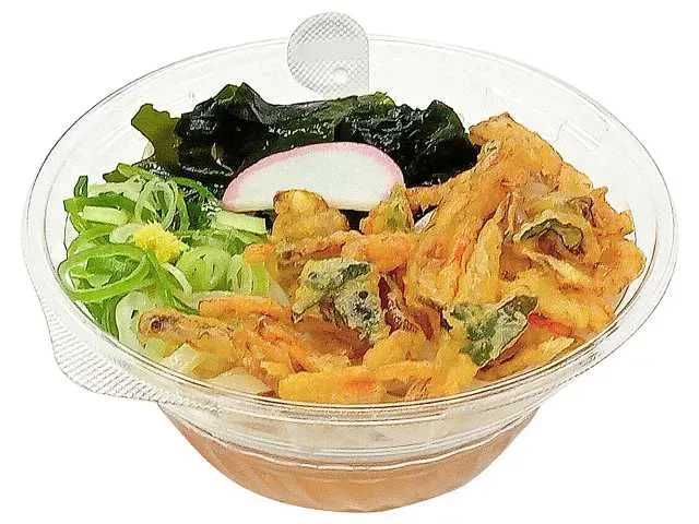 Fragrant Savory Broth Cold Udon with Vegetable Kakiage and Wakame