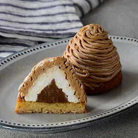 프랑스 밤 몽블랑