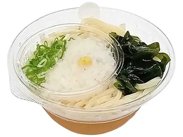 Flavorful Dashi Broth Cold Grated Radish Udon