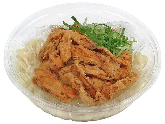 Large Serving Chilled Burdock Tempura Udon