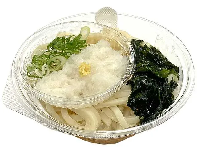Flavorful Soup Chilled Mizore Udon with Grated Daikon