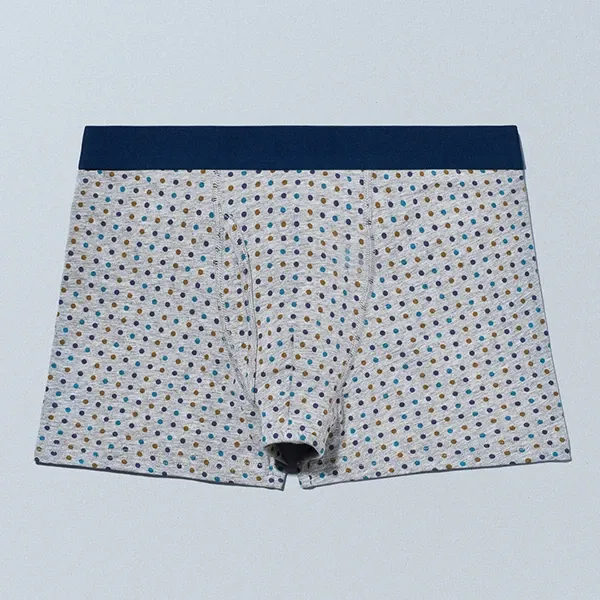 Boxer Briefs 2026 Autumn Colors Polka Dot / Gray